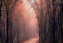 QY球友会官网:NBA/詹皇轟40分退拓荒者 教頭:他不斷打破常規.