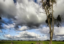 2022歐洲超級杯門票共1.7萬張可供球迷購買.