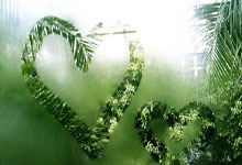 市儿体校被认定为“国家重点高水平体育后备人才基地(2021-2024).