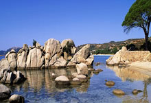 球友会:C羅相比足球更喜歡看拳擊這讓我學會如何移動.